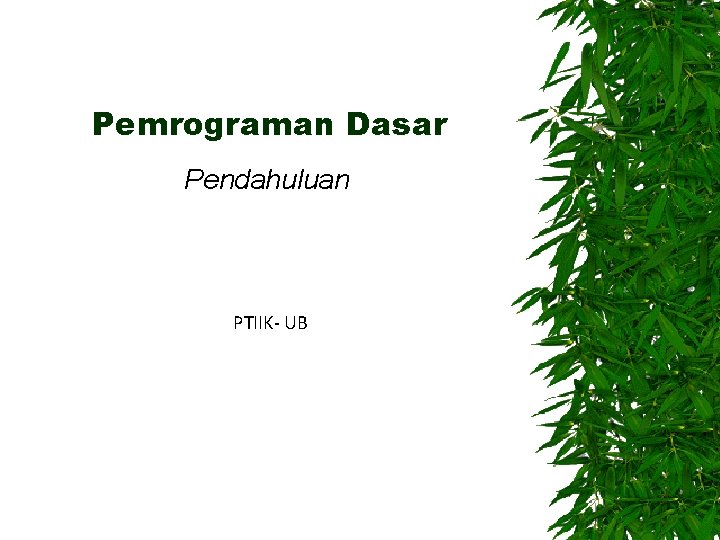 Pemrograman Dasar Pendahuluan PTIIK- UB 