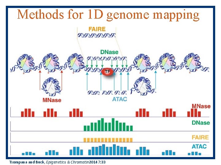 Methods for 1 D genome mapping Tsompana and Buck, Epigenetics & Chromatin 20147: 33