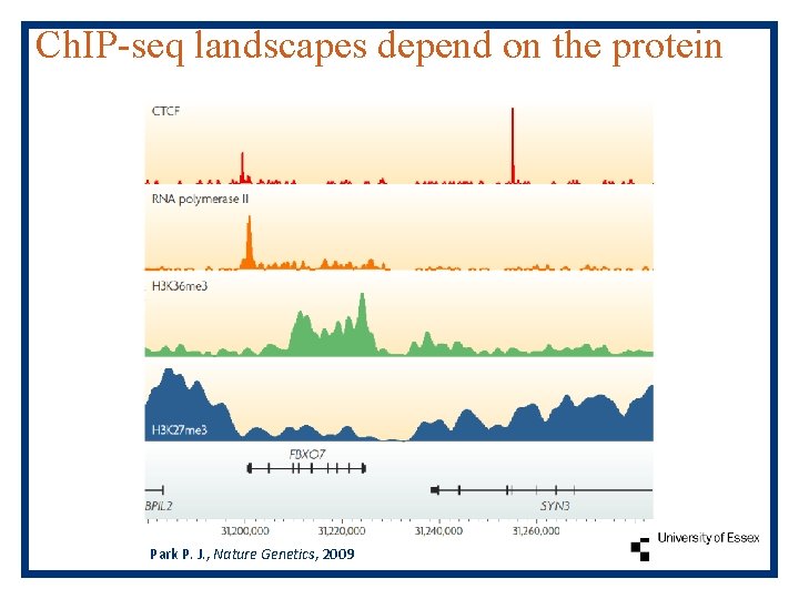 Ch. IP-seq landscapes depend on the protein Park P. J. , Nature Genetics, 2009