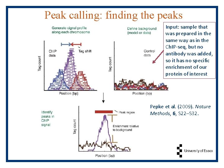 Peak calling: finding the peaks Input: sample that was prepared in the same way