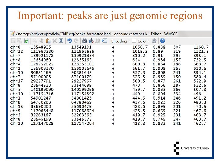 Important: peaks are just genomic regions 