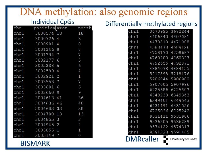 DNA methylation: also genomic regions Individual Cp. Gs BISMARK Differentially methylated regions DMRcaller 