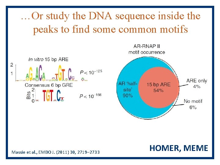 …Or study the DNA sequence inside the peaks to find some common motifs Massie