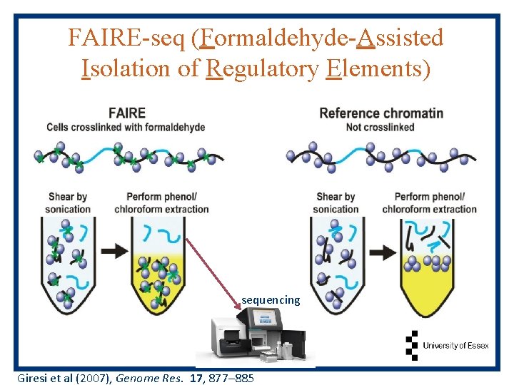 FAIRE-seq (Formaldehyde-Assisted Isolation of Regulatory Elements) sequencing Giresi et al (2007), Genome Res. 17,