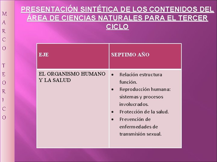 M A R C O T E O R I C O PRESENTACIÓN SINTÉTICA M A R C O T E O R I C O PRESENTACIÓN SINTÉTICA