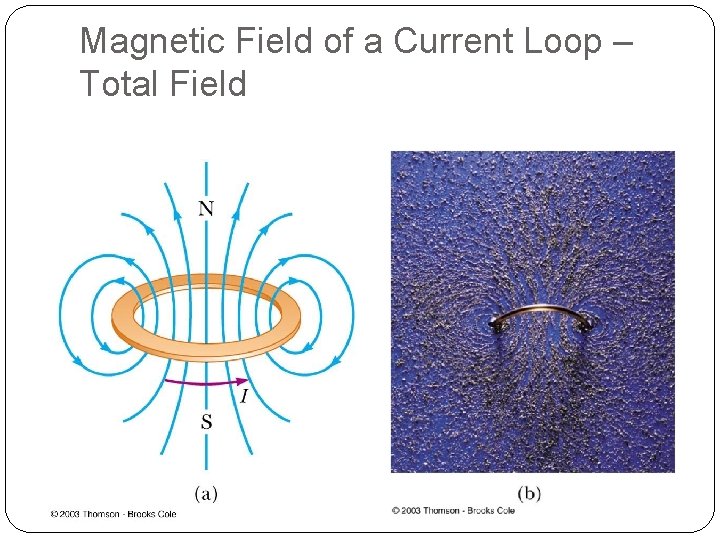 Magnetic Field of a Current Loop – Total Field 