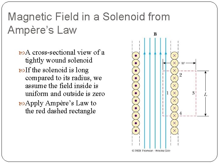 Magnetic Field in a Solenoid from Ampère’s Law A cross-sectional view of a tightly