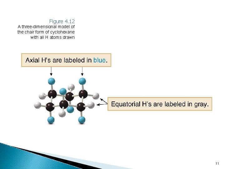 Figure 4. 12 A three-dimensional model of the chair form of cyclohexane with all