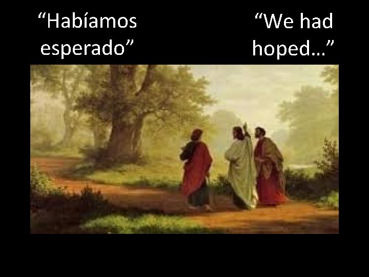 “Habíamos esperado” “We had hoped…” 