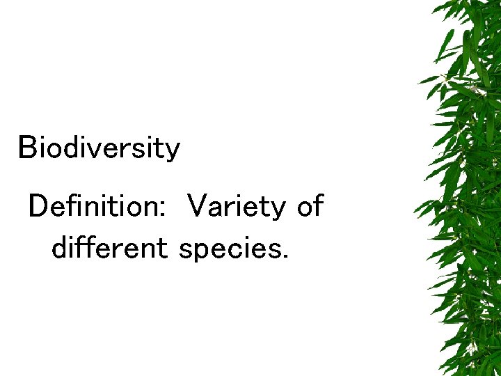 Biodiversity Definition: Variety of different species. 