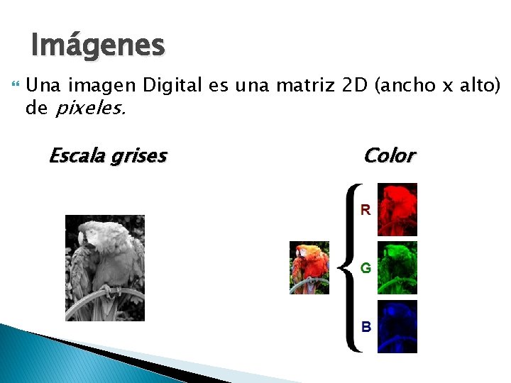 Imágenes Una imagen Digital es una matriz 2 D (ancho x alto) de pixeles.