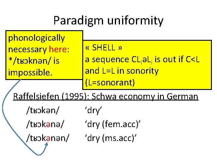 Paradigm uniformity phonologically « a phonological process is triggered or blocked « SHELL »