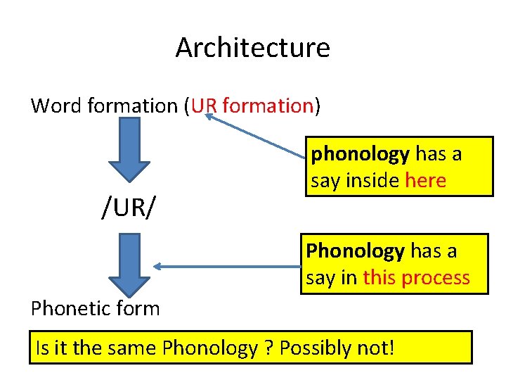 Architecture Word formation (UR formation) /UR/ phonology has a say inside here Phonology has