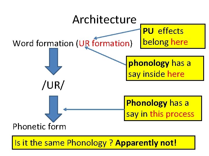 Architecture PU effects Word formation (UR formation) belong here /UR/ phonology has a say