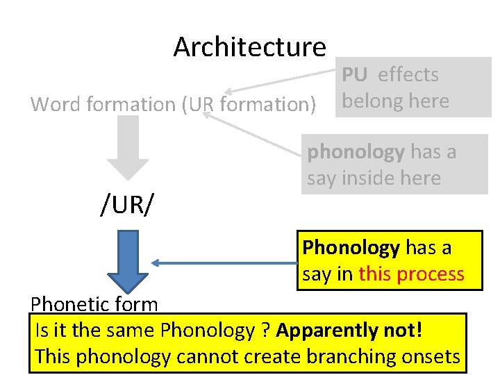 Architecture PU effects Word formation (UR formation) belong here /UR/ phonology has a say