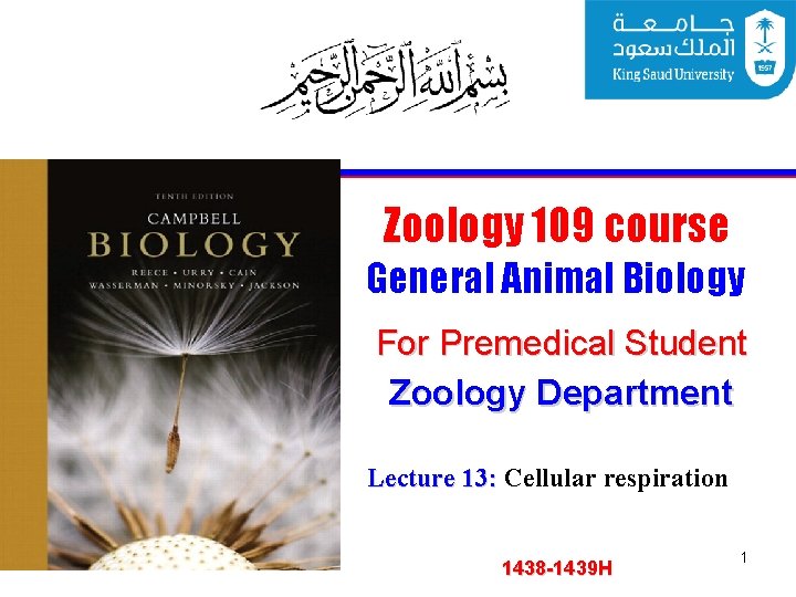 Zoology 109 course General Animal Biology For Premedical Student Zoology Department Lecture 13: Cellular