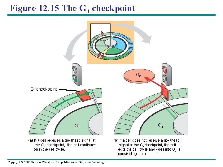 Figure 12. 15 The G 1 checkpoint G 0 G 1 checkpoint G 1