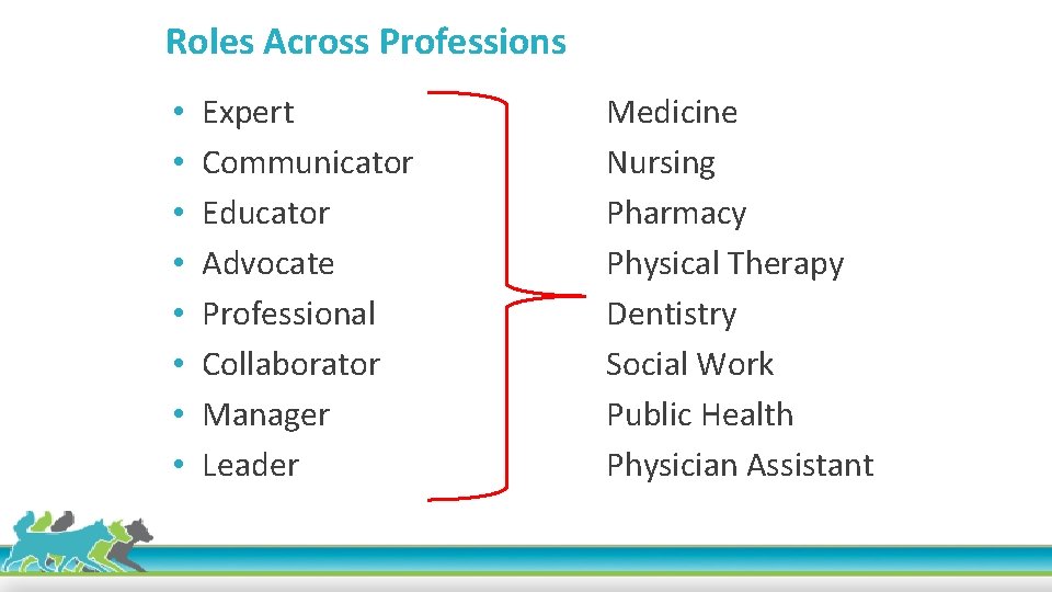 Roles Across Professions • • Expert Communicator Educator Advocate Professional Collaborator Manager Leader Medicine