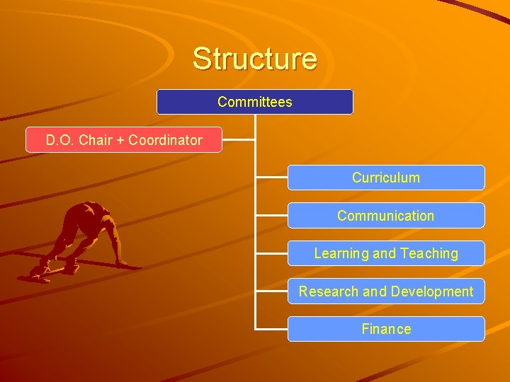 Structure Committees D. O. Chair + Coordinator Curriculum Communication Learning and Teaching Research and