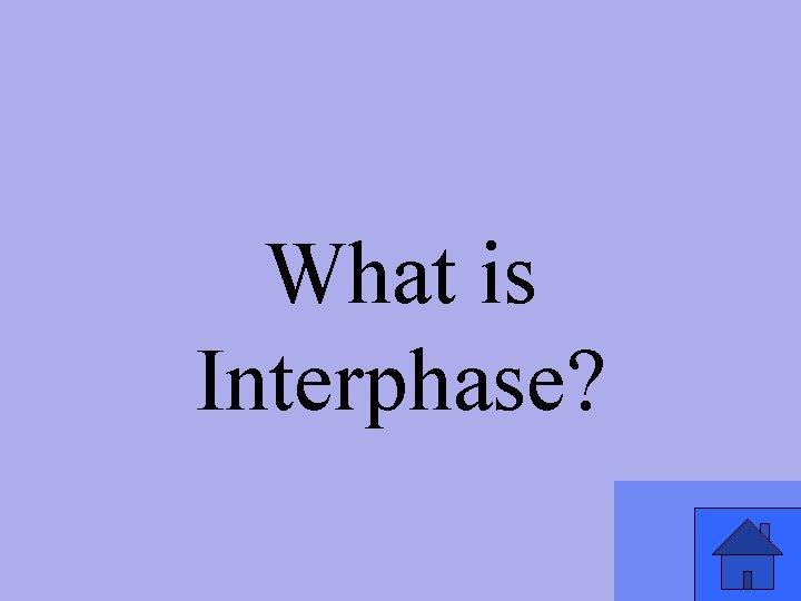 What is Interphase? 