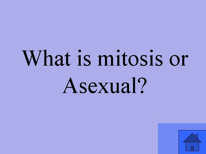 What is mitosis or Asexual? 