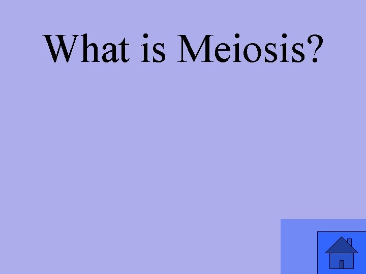 What is Meiosis? 