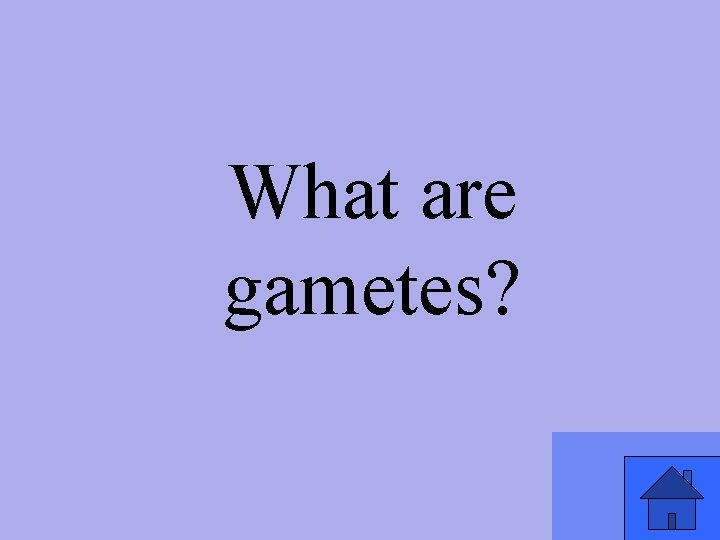 What are gametes? 