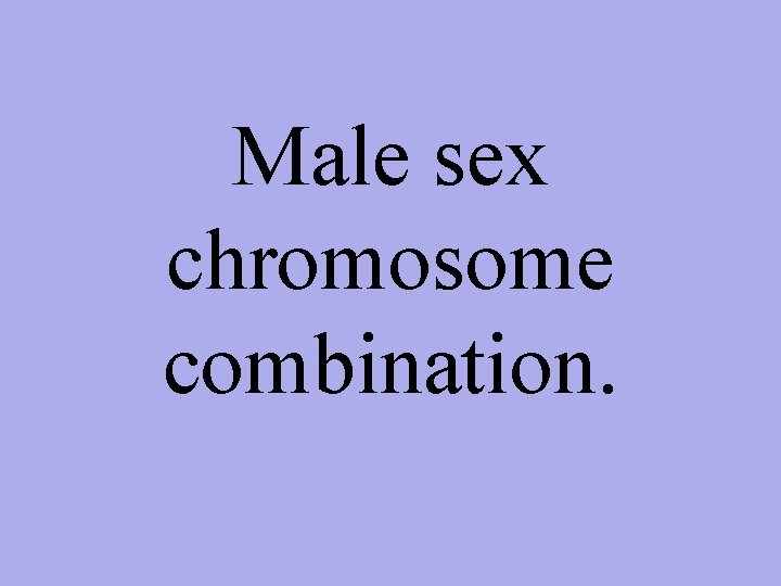 Male sex chromosome combination. 