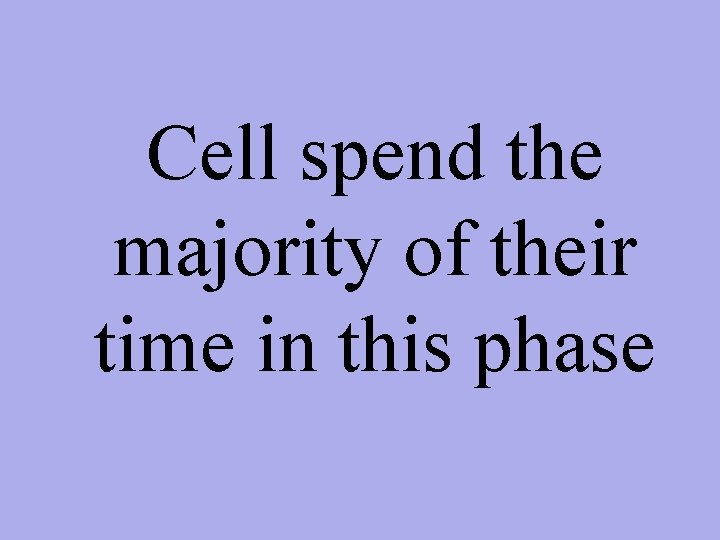 Cell spend the majority of their time in this phase 