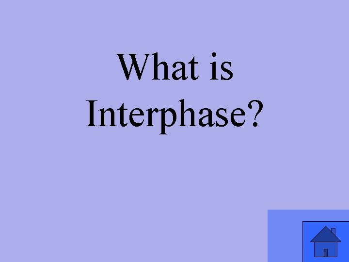 What is Interphase? 