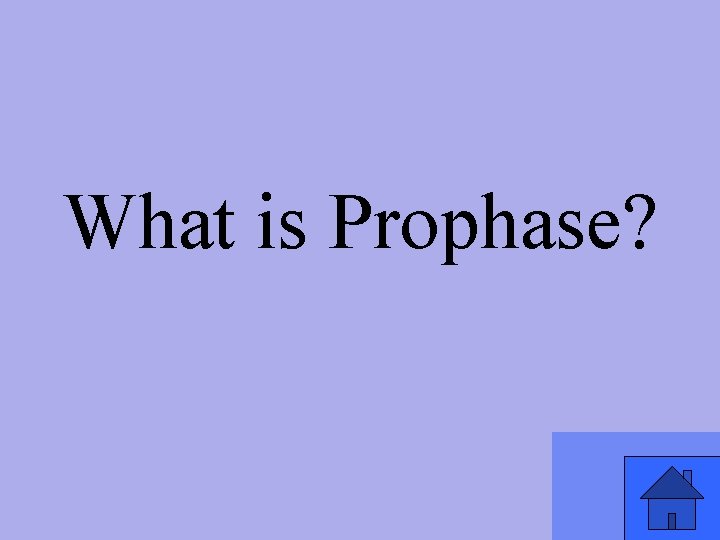 What is Prophase? 
