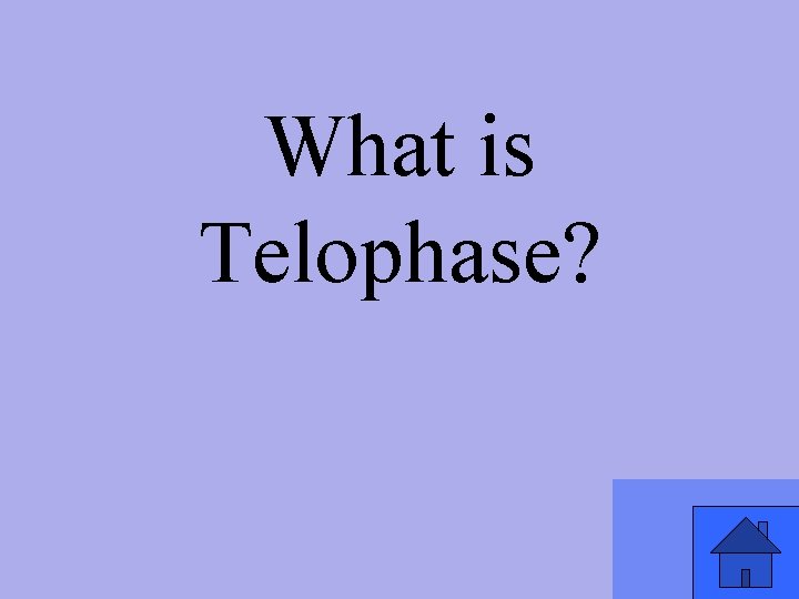 What is Telophase? 