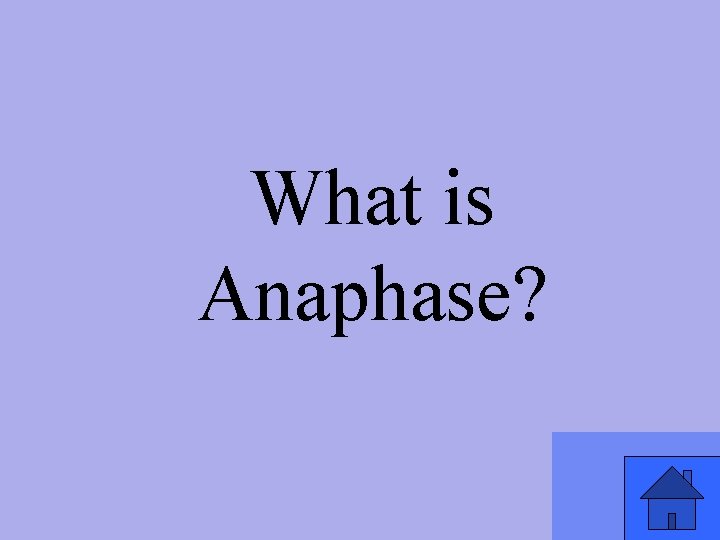 What is Anaphase? 