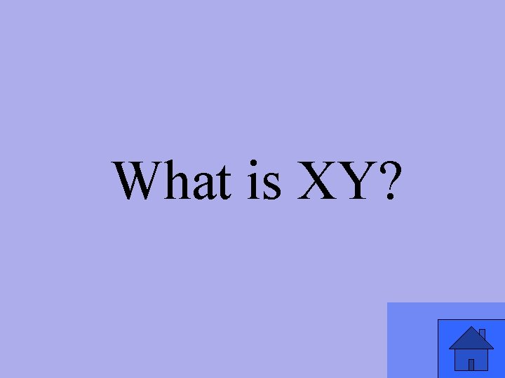 What is XY? 