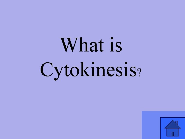 What is Cytokinesis? 