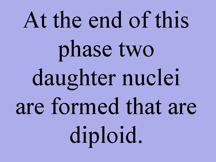 At the end of this phase two daughter nuclei are formed that are diploid.