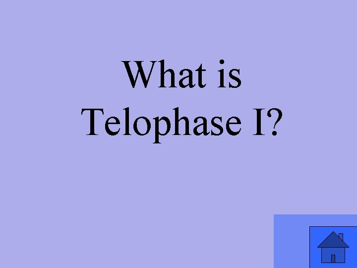 What is Telophase I? 