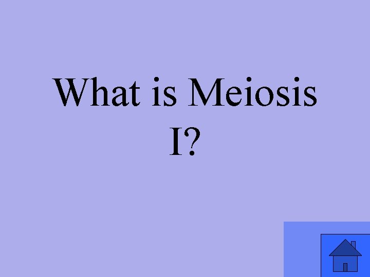 What is Meiosis I? 