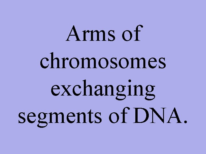 Arms of chromosomes exchanging segments of DNA. 
