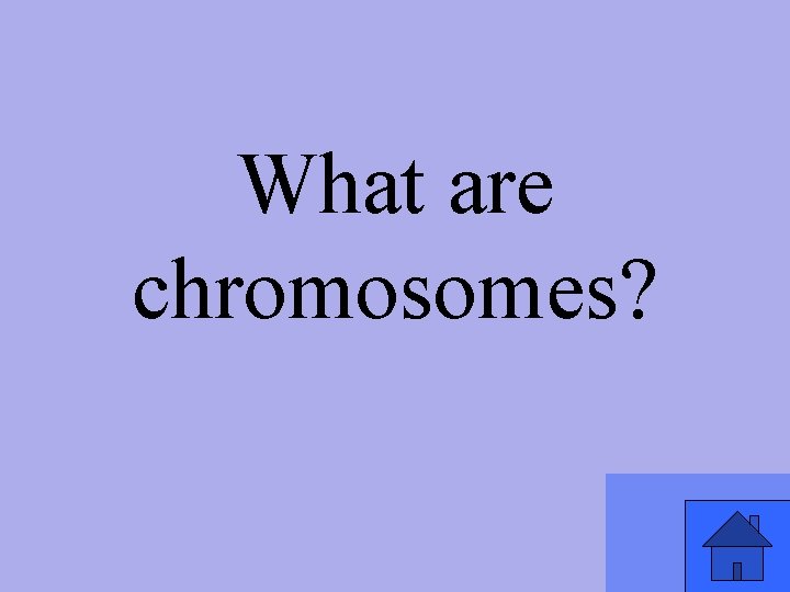 What are chromosomes? 