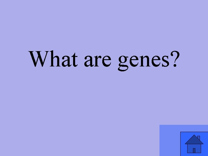What are genes? 