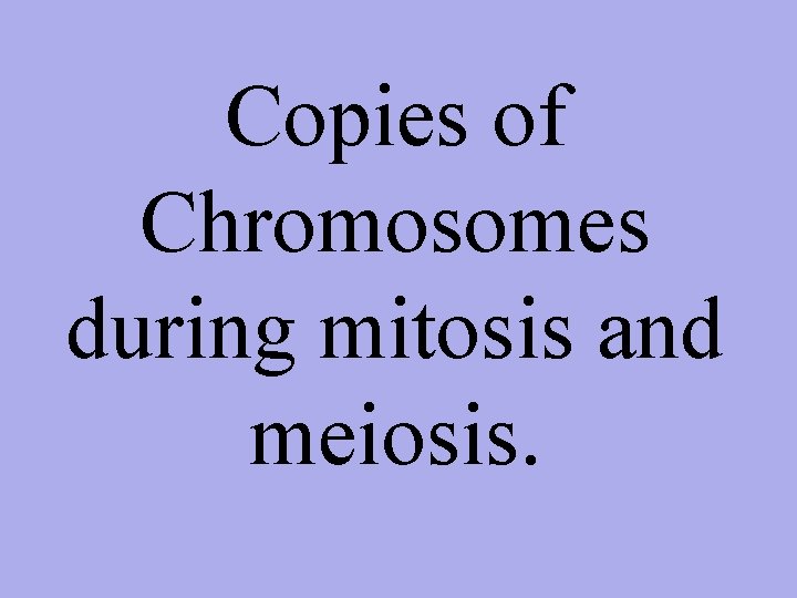 Copies of Chromosomes during mitosis and meiosis. 