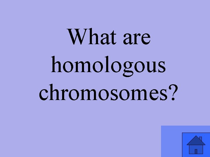 What are homologous chromosomes? 