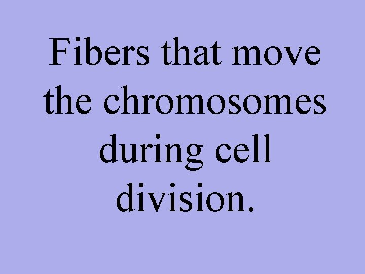 Fibers that move the chromosomes during cell division. 