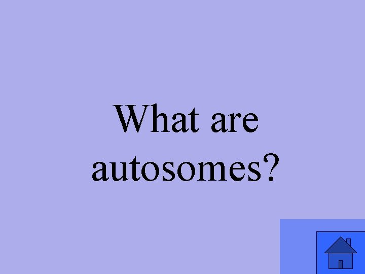 What are autosomes? 