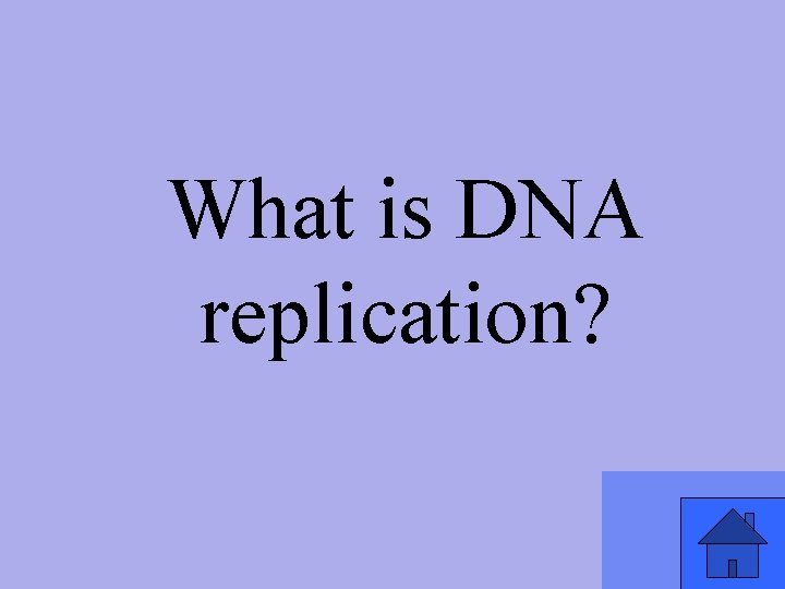 What is DNA replication? 