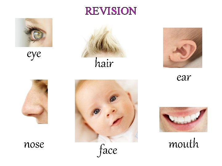 REVISION eye nose hair face ear mouth 