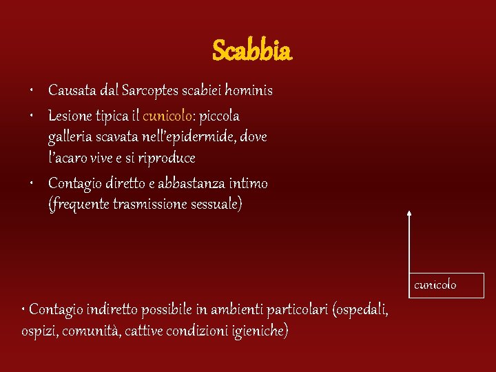 Scabbia • Causata dal Sarcoptes scabiei hominis • Lesione tipica il cunicolo: piccola galleria