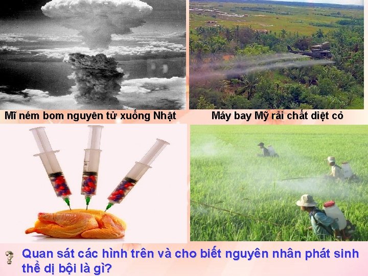 Mĩ ném bom nguyên tử xuống Nhật Máy bay Mỹ rải chất diệt cỏ