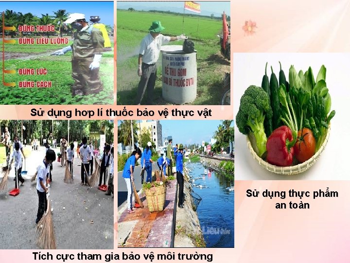 Sử dụng hơp lí thuốc bảo vệ thực vật Sử dụng thực phẩm an